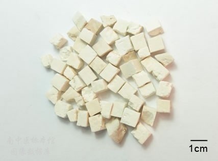 茯苓